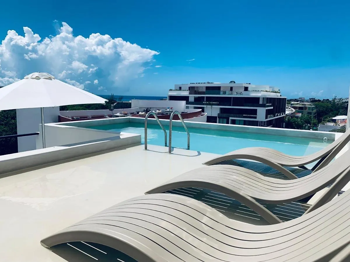 Appartement **Stunning **Brand New Apart On 5Th Ave à Playa del Carmen Mexique